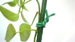 Gardener 3010 Bağlaç, Çok Amaçlı Yumuşak Bağlama Teli – 3mm x 8m. - Görsel 3