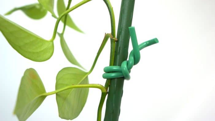 Gardener 3010 Bağlaç, Çok Amaçlı Yumuşak Bağlama Teli – 3mm x 8m. - Görsel 3