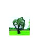 Intermas 120018 BIRDNET 8x10 m 18x18 mm UV Filtreli Kuştan Koruma Ağı Paketli (PP) - Görsel 2
