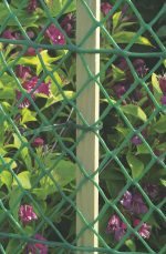 Intermas 170602 FLORANET Yeşil 60 cm x 25 m 28x28 mm UV Filtreli Yüksek Dayanıklı Plastik Çevirme Çiti (HDPE) - Görsel 3