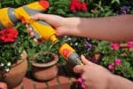 Hozelock 2055H Hortum Bağlantısı Stoplu 1/2" - Görsel 2