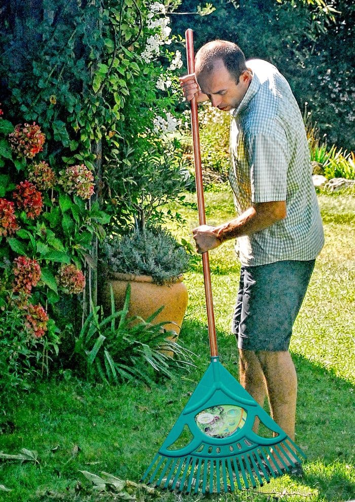 Raco 53726 Ahşap Saplı Plastik Çim ve Yaprak Toplama Tırmığı 60 CM - Görsel 2