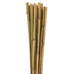 Gardener 63713 Bambu Destek Çubuğu 10 Adet 10-12 mm x 120 cm