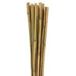 Gardener 63722 Bambu Destek Çubuğu 10 Adet 18-20 mm X 210 cm - Görsel 2