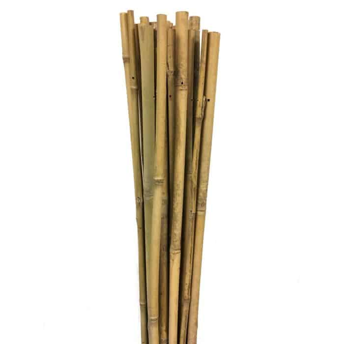 Gardener 63722 Bambu Destek Çubuğu 10 Adet 18-20 mm X 210 cm - Görsel 2