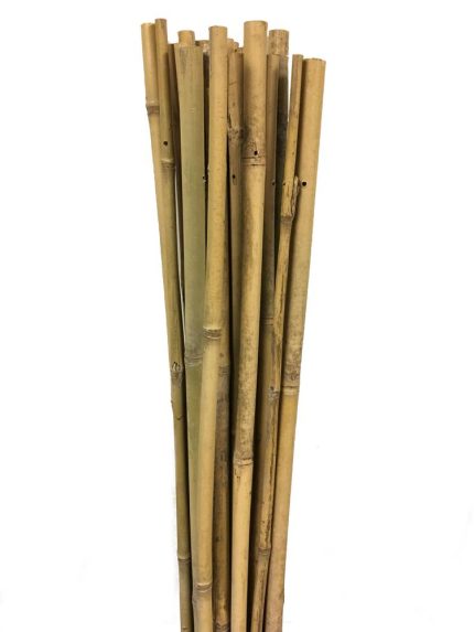Gardener 63723 Bambu Destek Çubuğu 10 Adet 18-20 mm x 240 cm