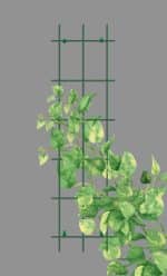 Gardener 74045 Sarmaşık Bitkilere Özel Metal Tırmanma Kafesi  - Yeşil 150cm X 45cm - Görsel 2