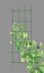 Gardener 74060 Sarmaşık Bitkilere Özel Metal Tırmanma Kafesi  - Yeşil 150cm X 60cm - Görsel 2