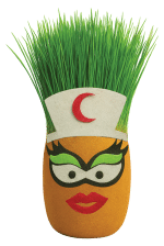 Çimcik 9200 Çim Kafa - Görsel 2