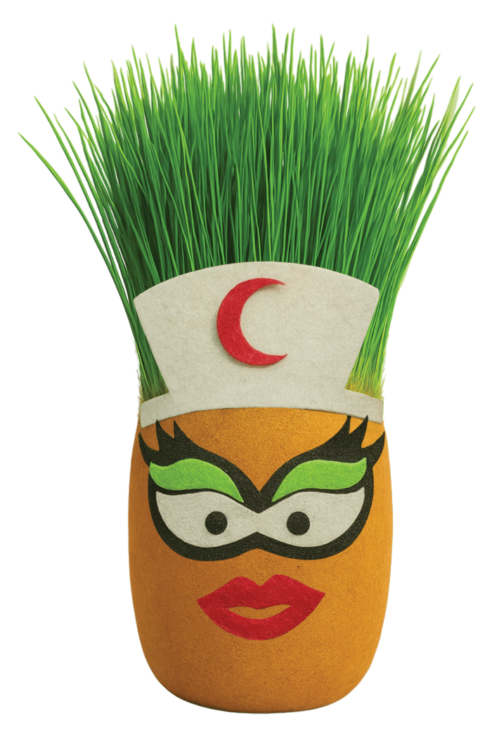 Çimcik 9200 Çim Kafa - Görsel 2