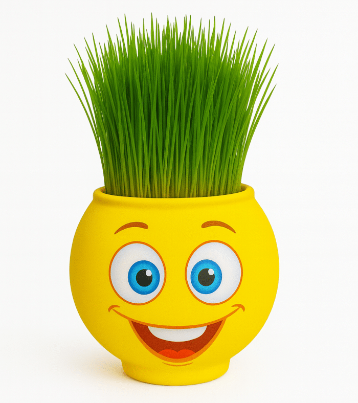 Çimcik 9050 Çim Adam Mini - Görsel 4