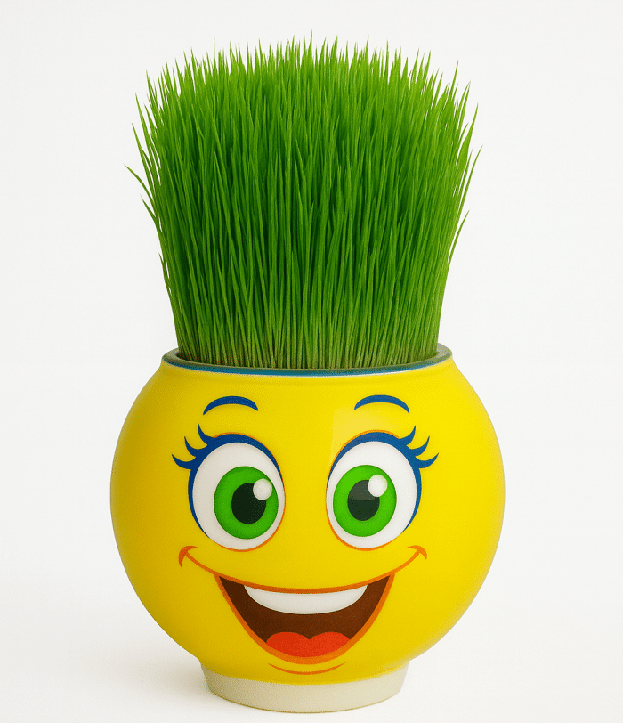 Çimcik 9050 Çim Adam Mini - Görsel 5