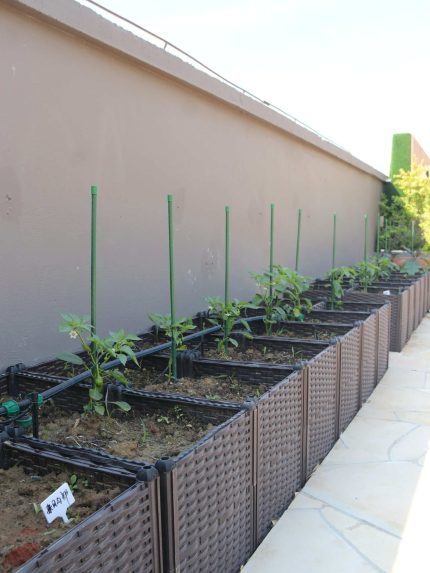 Gardener 53712 Bitki Destek Çubuğu 10 Adet 8 mm x 90 cm