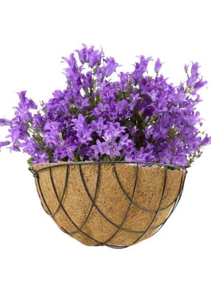 Gardener KKZ015 Koko Sepet Saksı Duvara Monte 30 cm