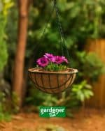 Gardener KKZ030 Koko Sepet Zincir Askılı - 30 cm Ø - Görsel 3