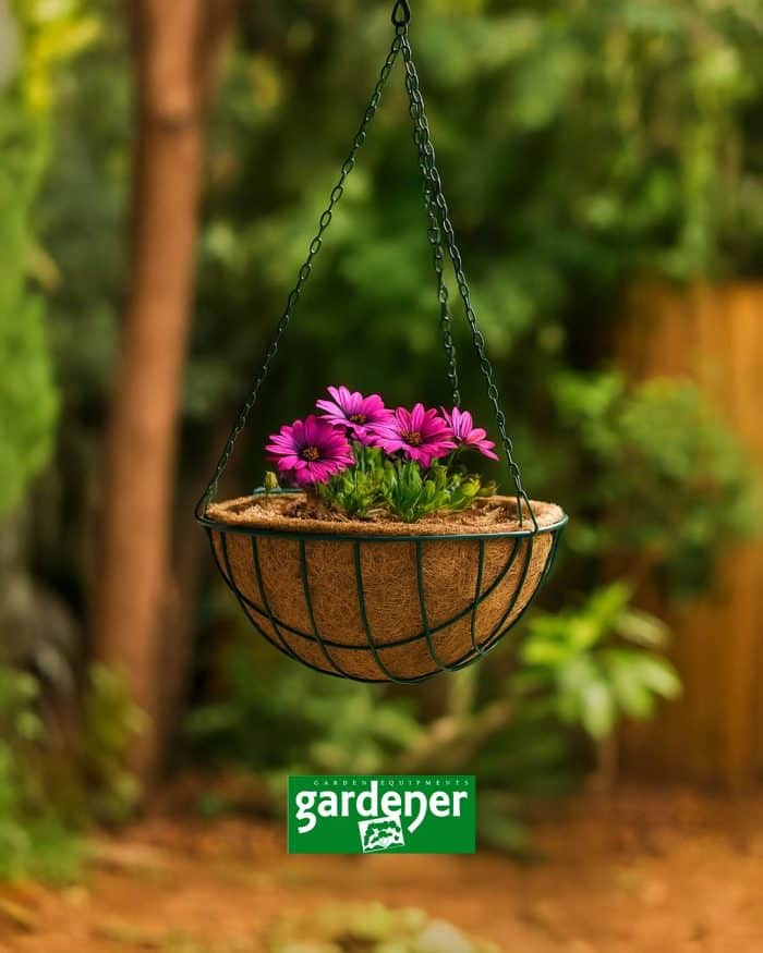 Gardener KKZ030 Koko Sepet Zincir Askılı - 30 cm Ø - Görsel 3