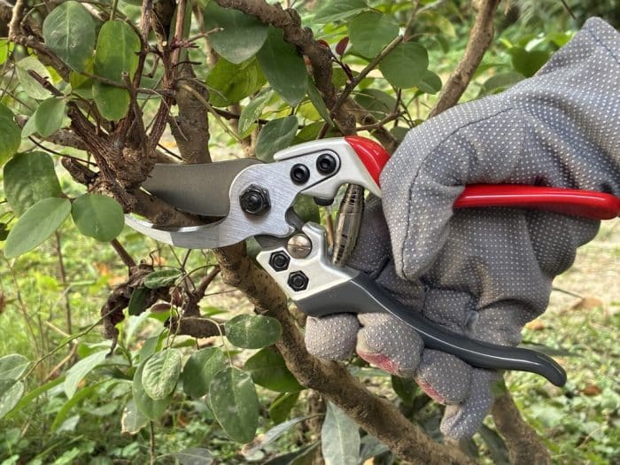 RACO 52PS1 Pro-Cut Dövme Çelik Bypass Budama Makası - 220 mm - Görsel 2